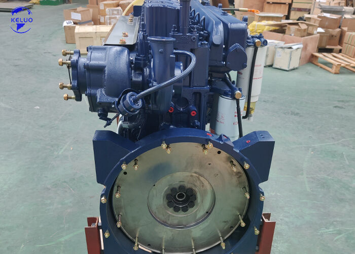 Completato 6-Cilindri Costruzione Macchinari Motore Diesel Assy WP10 per Gruppi Elettrogeni Camion Marine